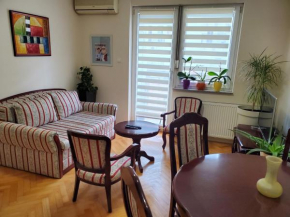 Apartman Novi Sad